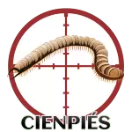 CIEMPIES