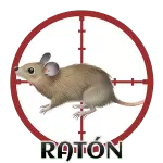 RATON