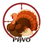 PAVO