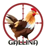 GALLINA