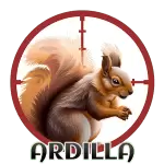 ARDILLA
