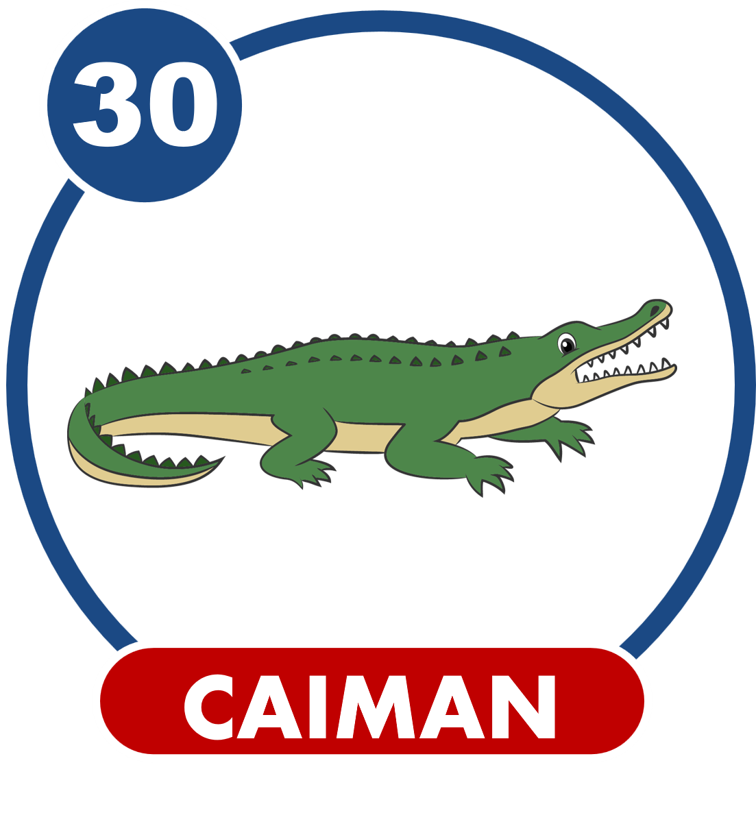 CAIMAN