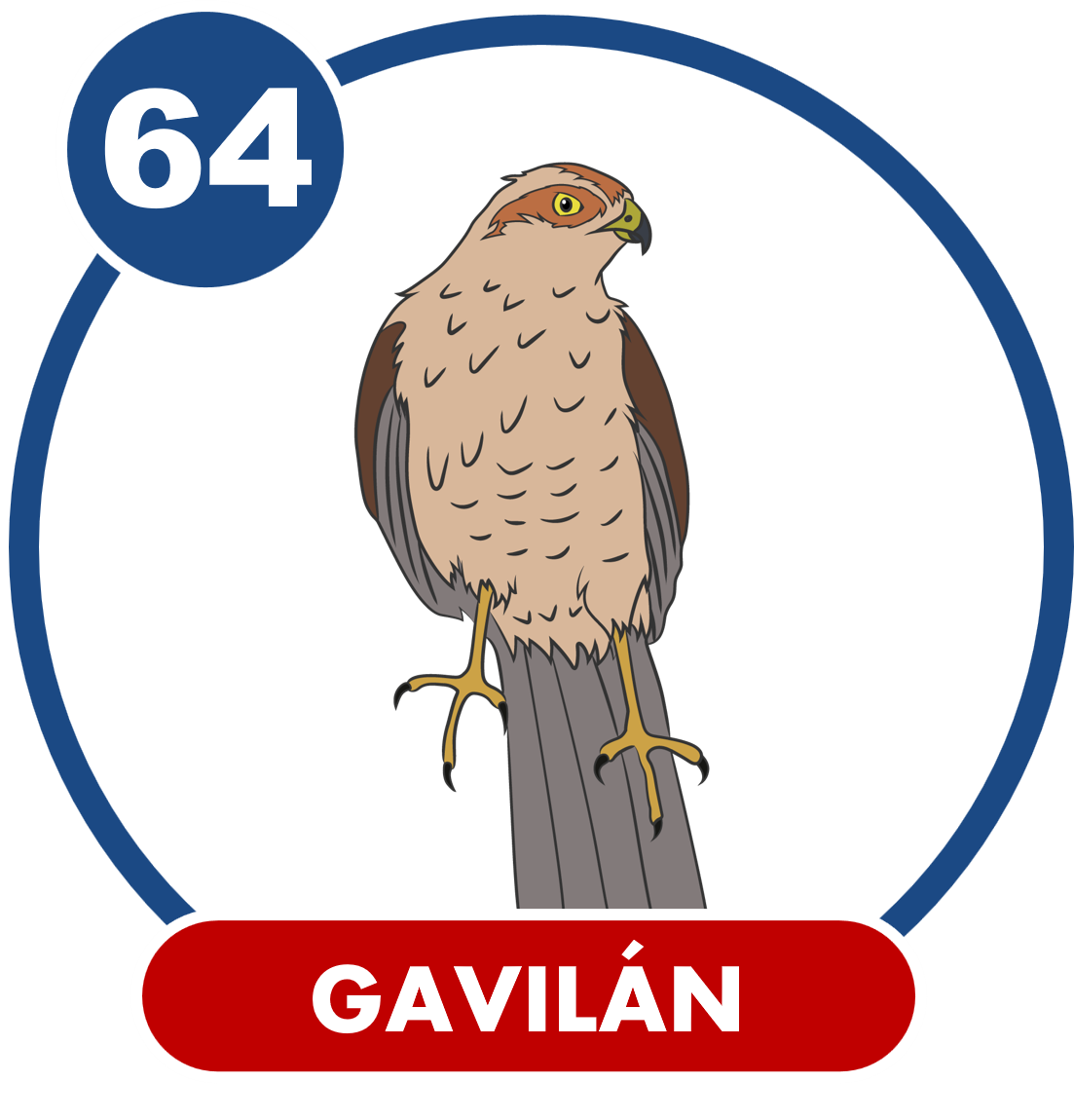 GAVILAN