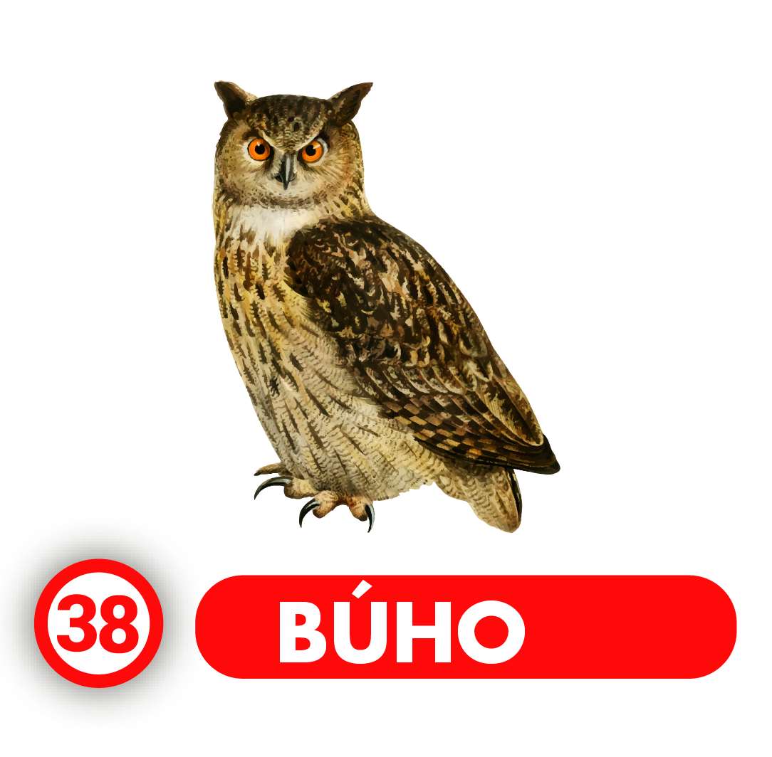 BUHO