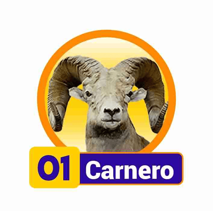 CARNERO