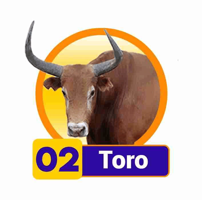 TORO