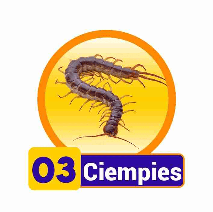 CIEMPIES