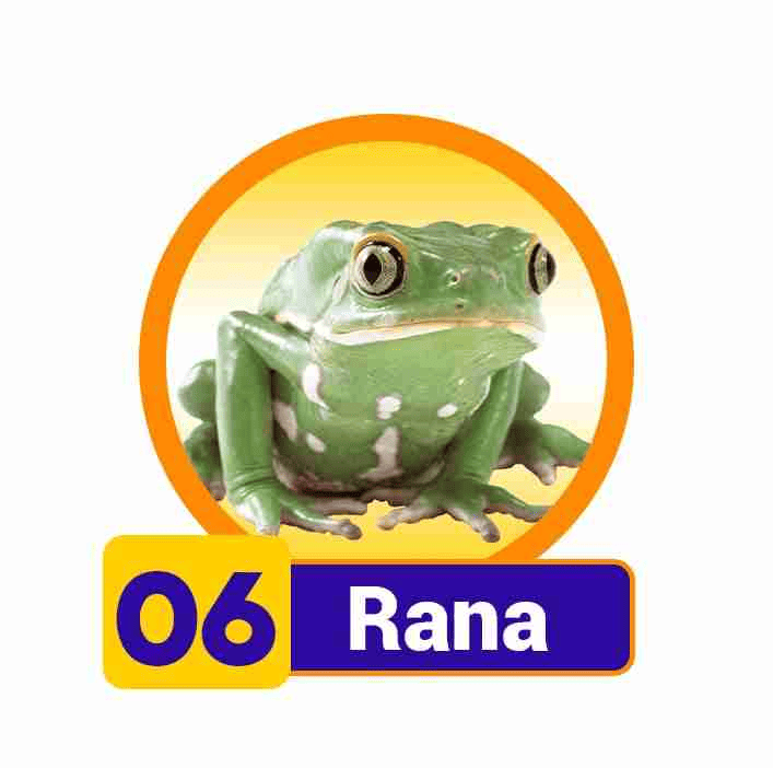 RANA