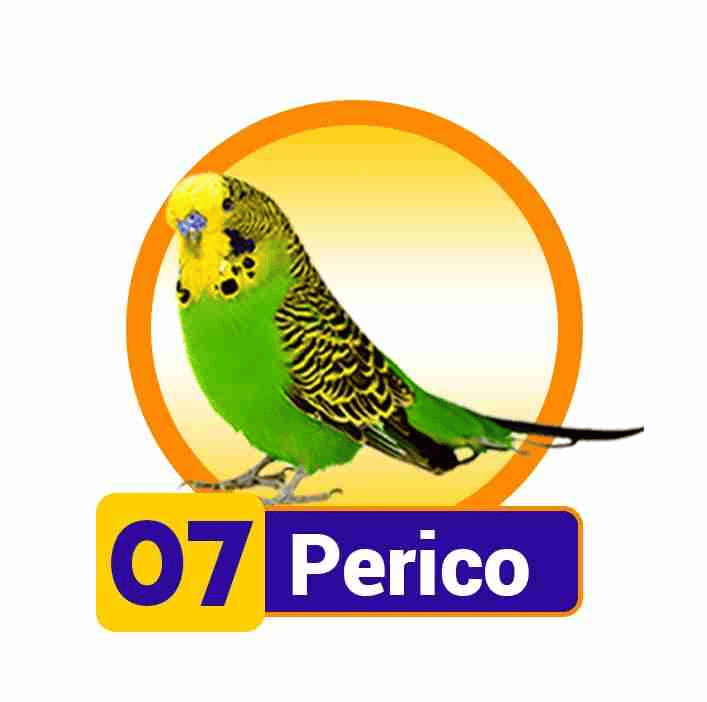 PERICO