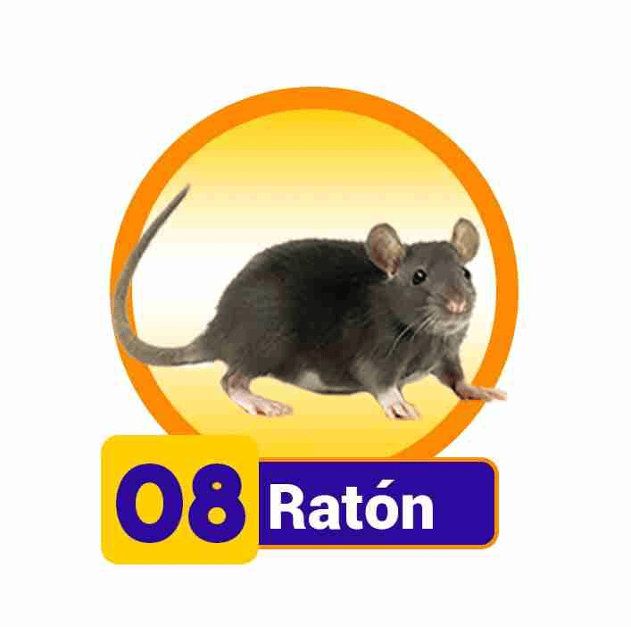 RATON