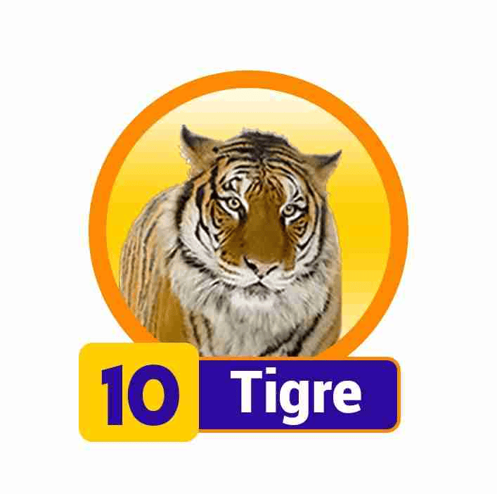 TIGRE