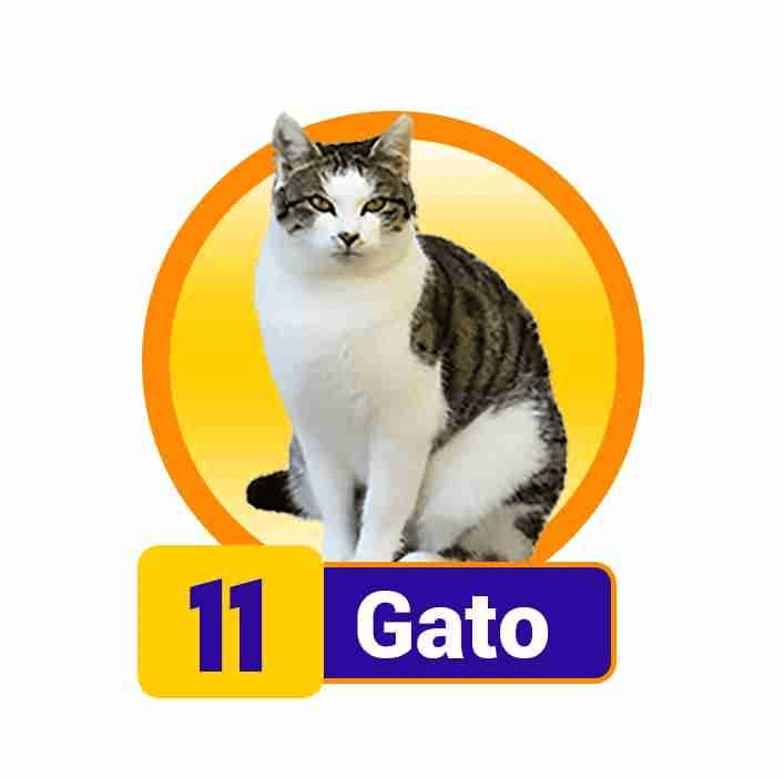 GATO
