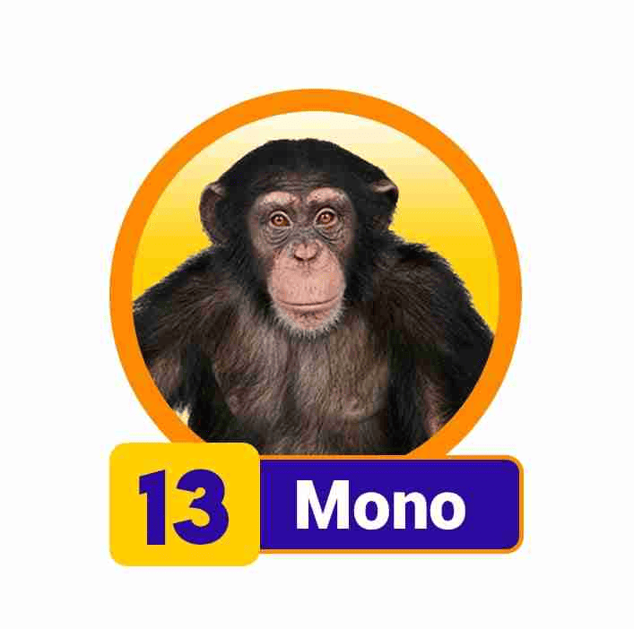 MONO
