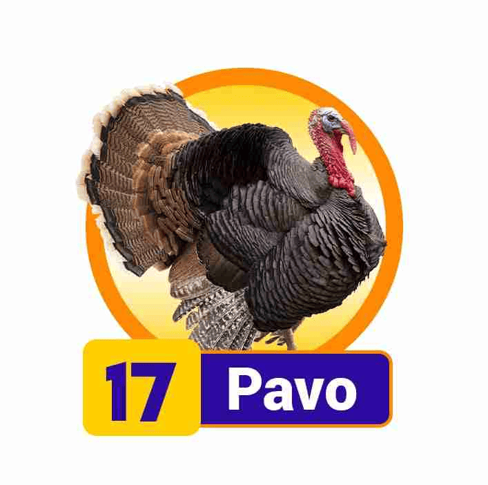 PAVO