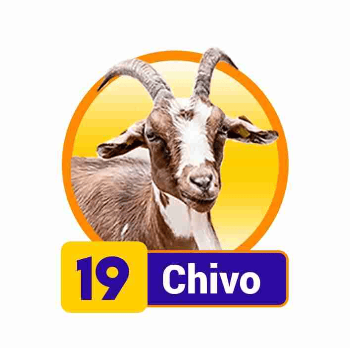 CHIVO