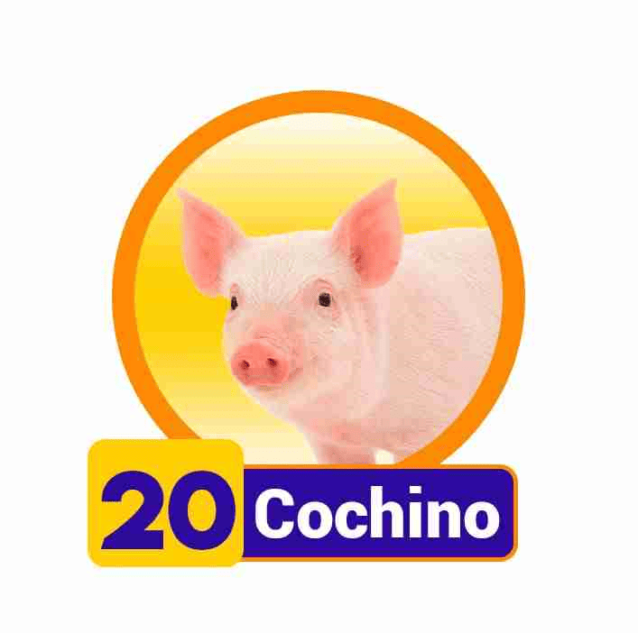 COCHINO