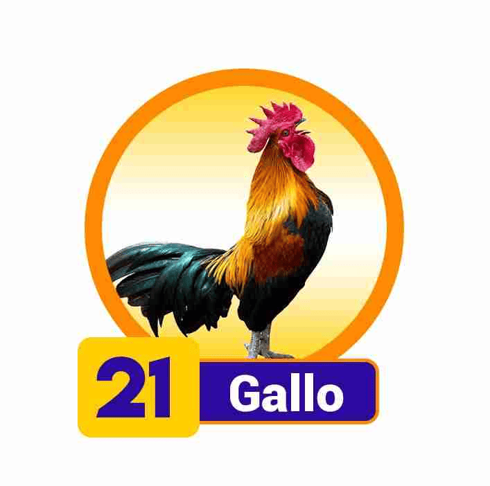 GALLO
