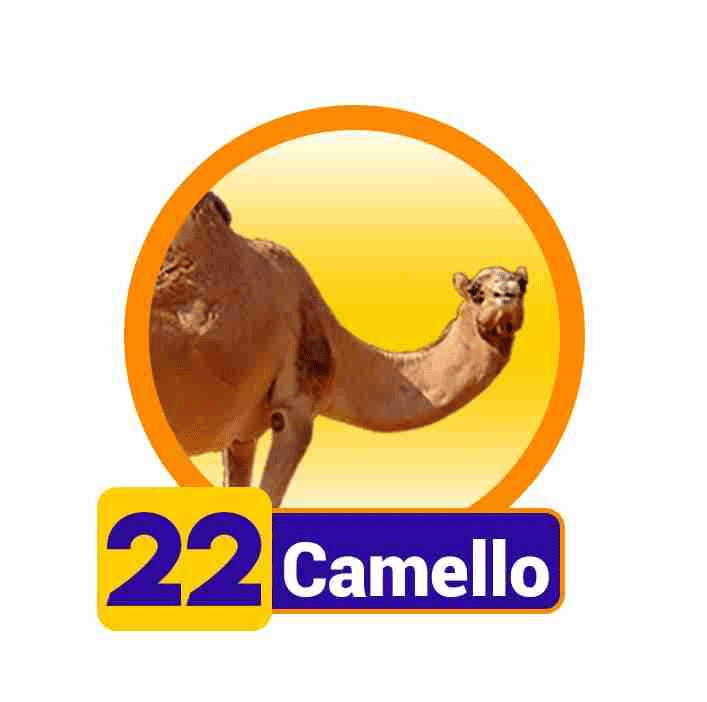 CAMELLO