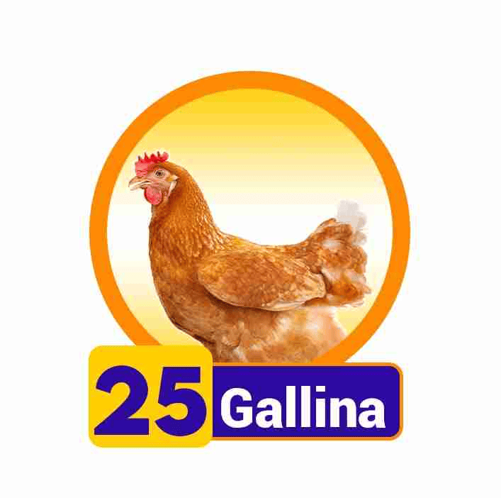 GALLINA