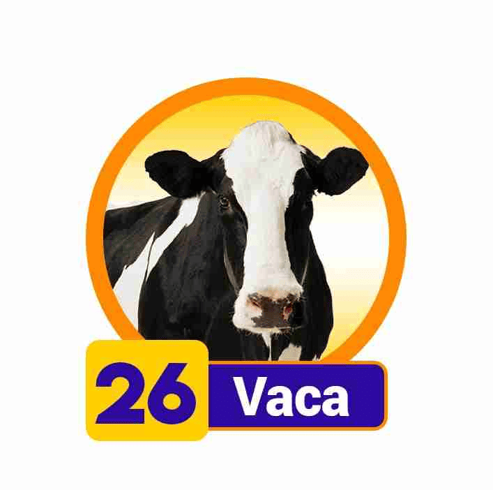 VACA