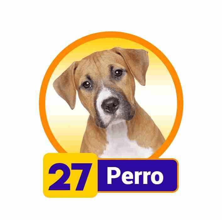 PERRO