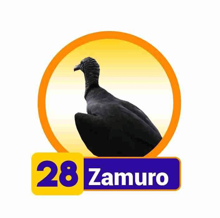 ZAMURO