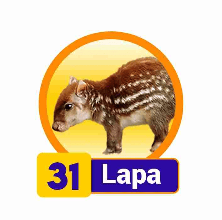 LAPA