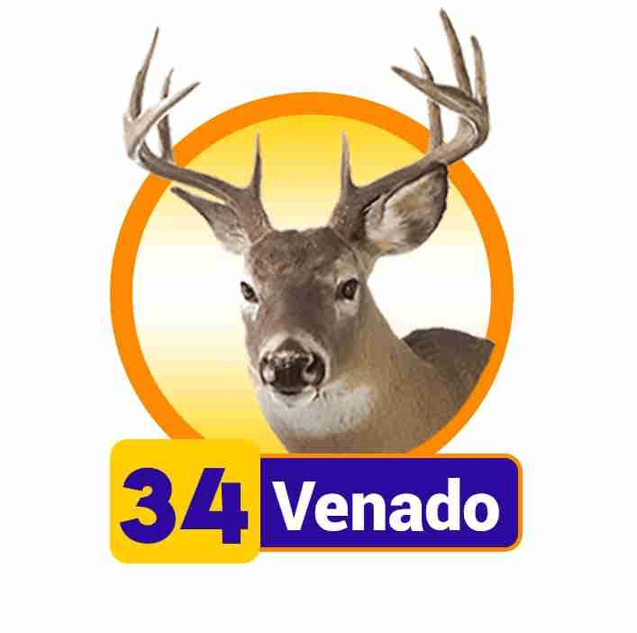 VENADO