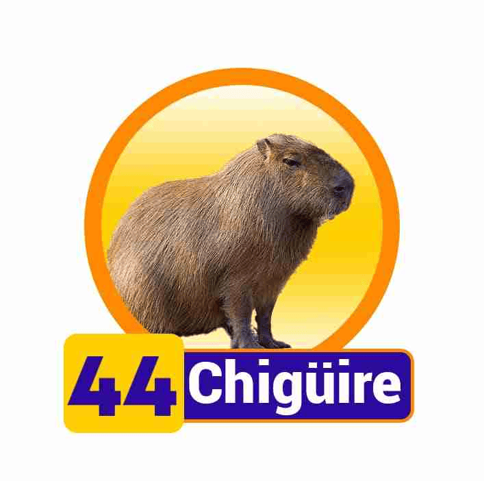 CHIGUIRE