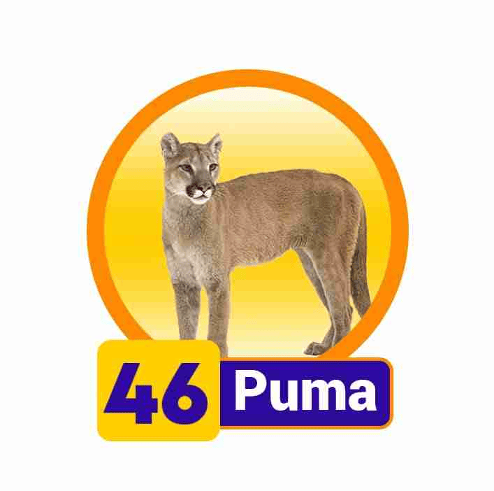 PUMA