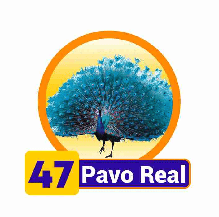 PAVO REAL