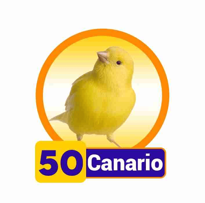 CANARIO