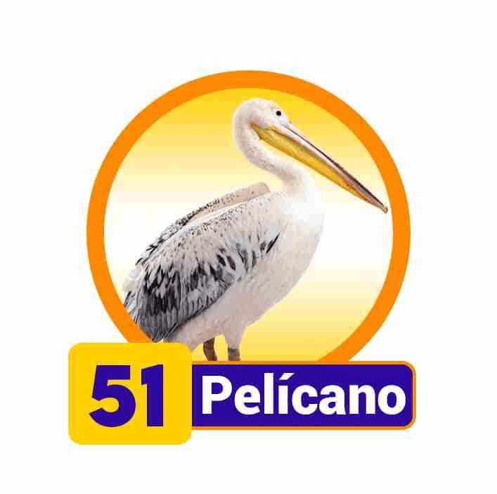 PELICANO