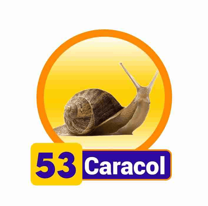 CARACOL