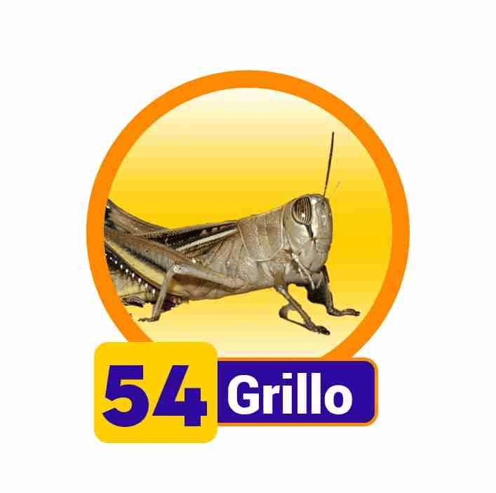 GRILLO