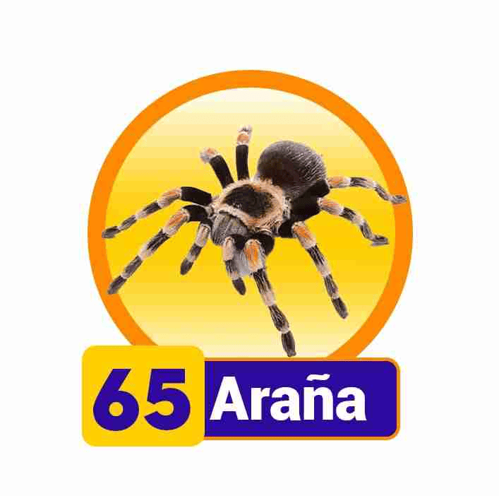 ARAÑA