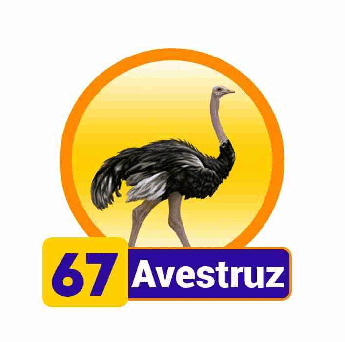 AVESTRUZ