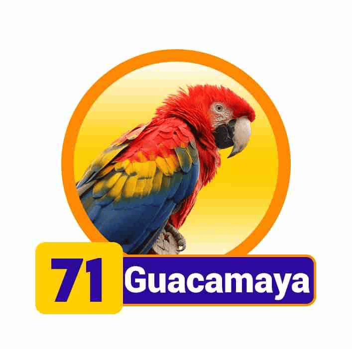 GUACAMAYA