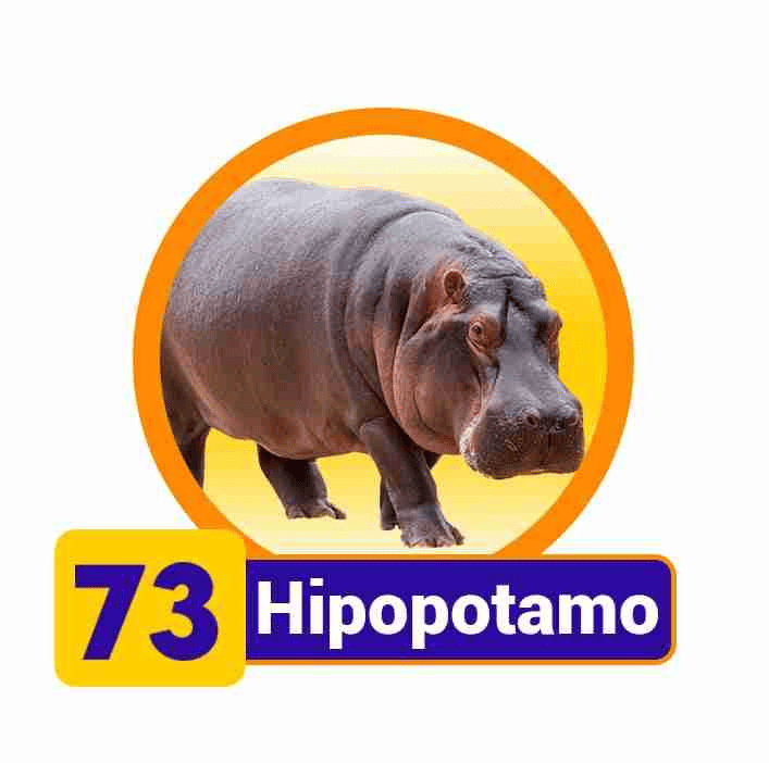 HIPOPOTAMO