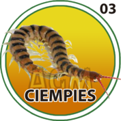 CIEMPIES