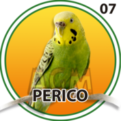 PERICO