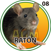 RATON