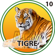 TIGRE