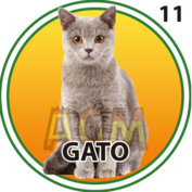 GATO