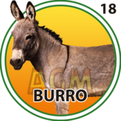 BURRO