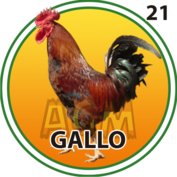 GALLO