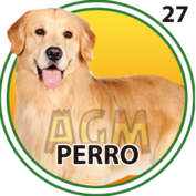 PERRO