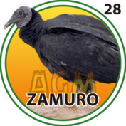 ZAMURO