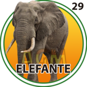 ELEFANTE