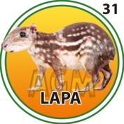 LAPA